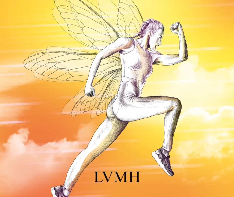 LVMH cartes profils BMI et AT illustration